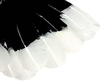 6 חתיכות - לבן הטה חיקוי נשר טורקיה טום סיבובים המשני כנף נוצת נוצות תלבושות קרפט אספקת | נוצת אור ירח